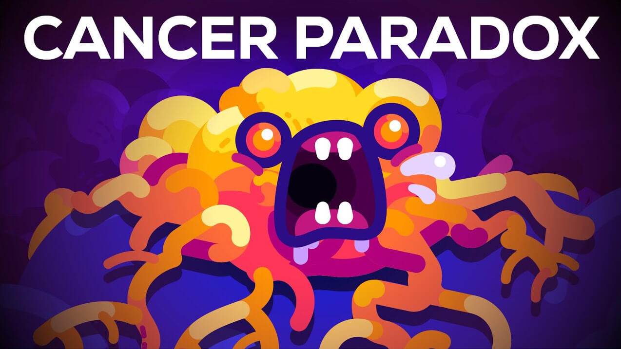 Cancer Paradox