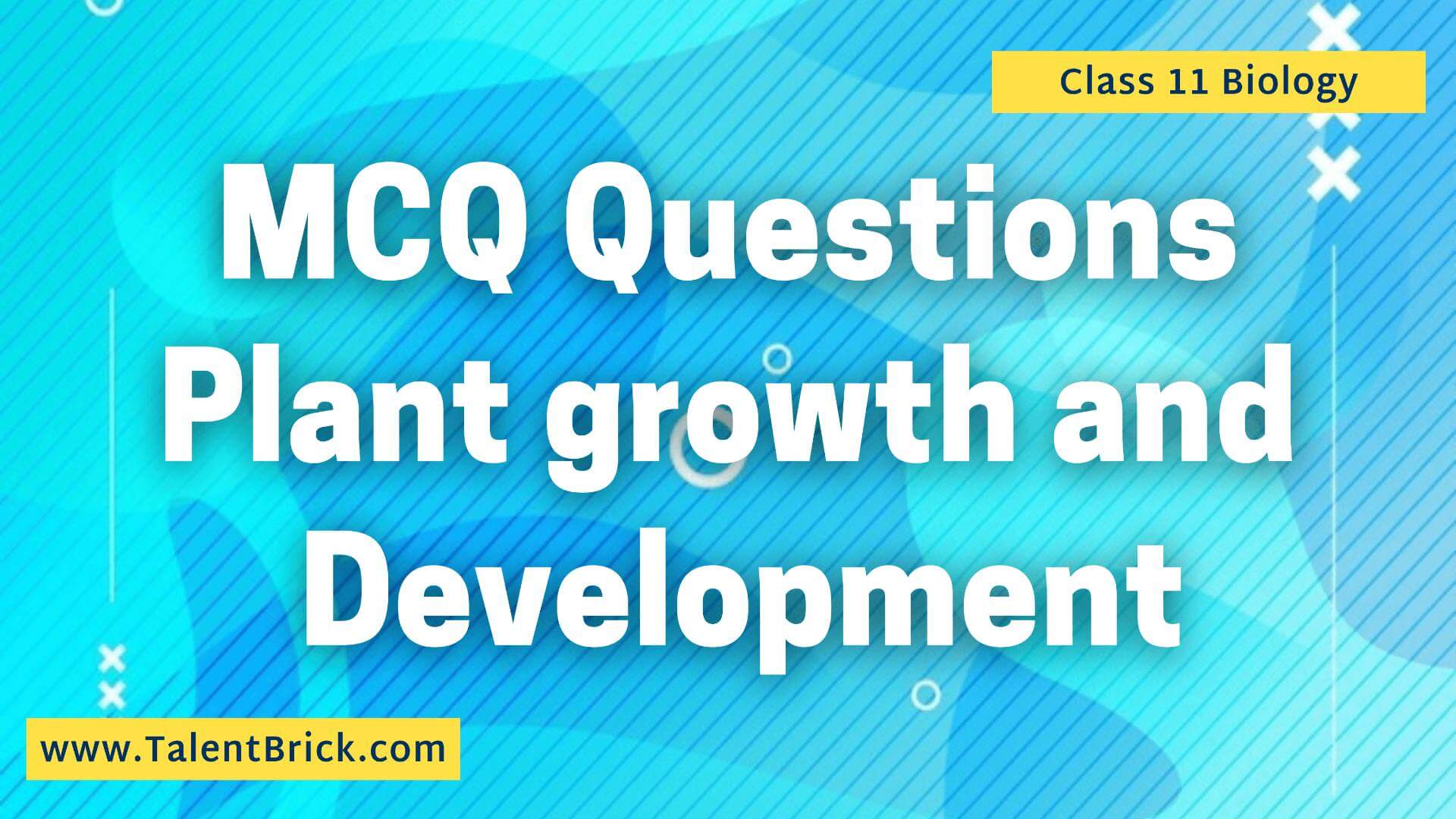 MCQ Plant Growth And Development Chapter 15 Biology Class 11 | TalentBrick