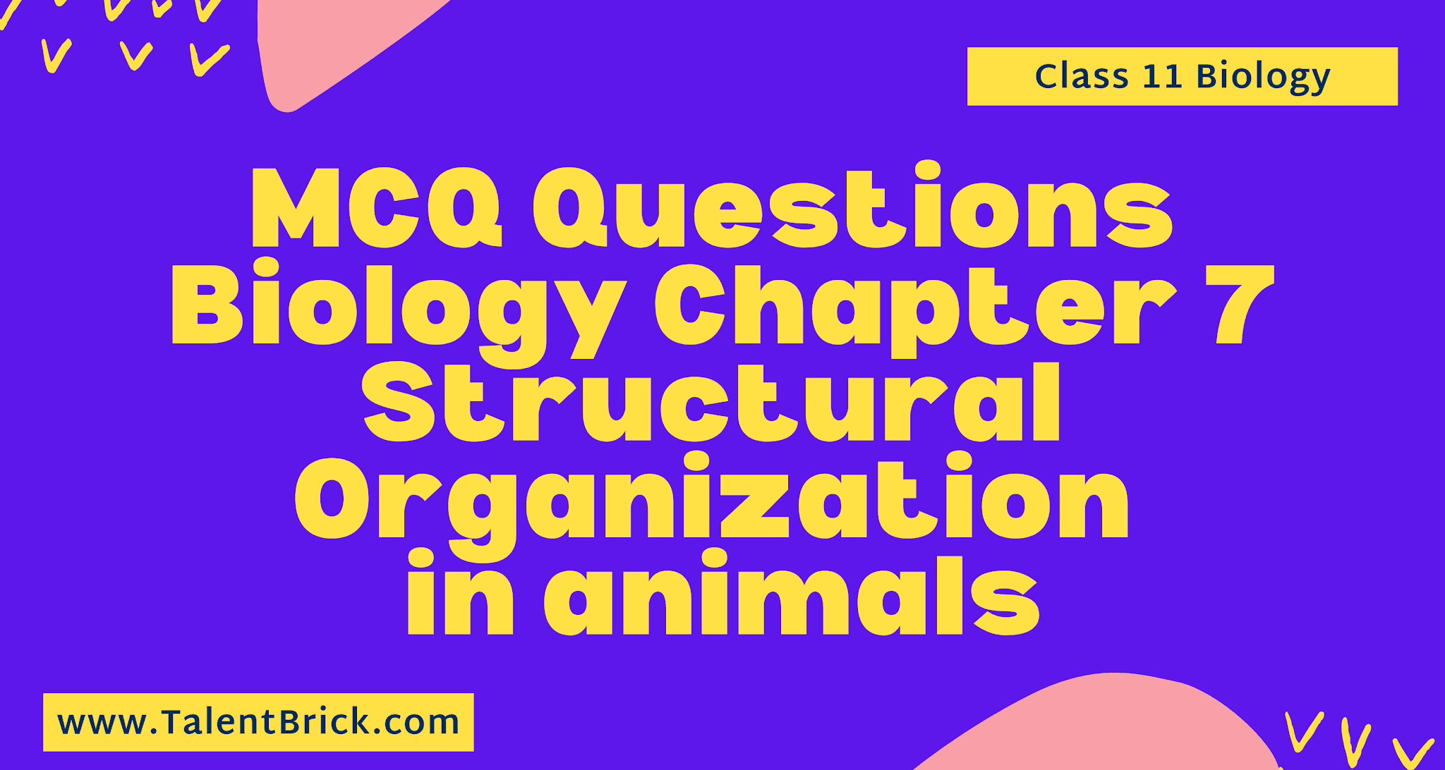MCQ Questions Structural Organization in Animals Class 11 Chapter 7 | TalentBrick MCQ Questions Structural Organization in Animals Class 11 Chapter 7 | TalentBrick
